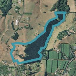 211 Waipapa Block Road, Whakamarama, Whakamārama