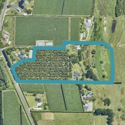 172 Keenan Road, Pyes Pa, Tauranga
