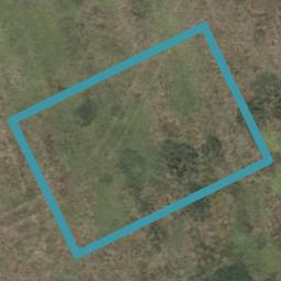 21 Gaylard Avenue, Chartwell, Hamilton