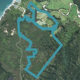 167 Darkies Terrace Road, CHARLESTON, Cape Foulwind 