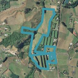 482 Esdaile Road, Whakamarama, Whakamārama
