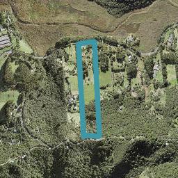 138 Bethells Road, Henderson