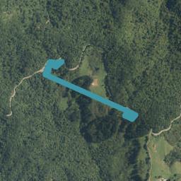1422 Tapu Coroglen Road, COROMANDEL FOREST PARK