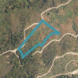 0 Maungatapu Road, Pelorus Bridge, Rai Valley
