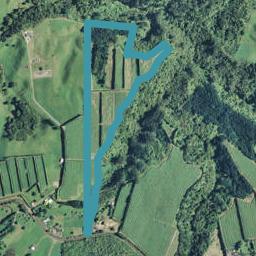 994 No 3 Road, Te Puke, Te Puke