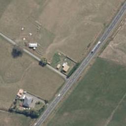 455D State Highway 1, Bulls