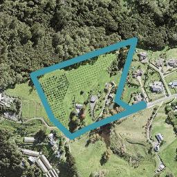 41 Cedar Terrace, Stanmore Bay, Whangaparaoa
