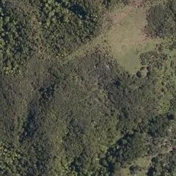 0 Waiotemarama Gorge Road, Waimamaku, Kaikohe