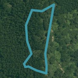 0 Rocky Cutting Road, Waitao, Tauranga