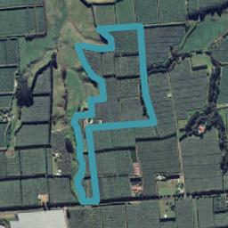 109 Tablelands Road, Tirohanga, Opotiki