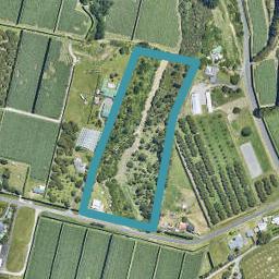 30 Griffin Road, Omanawa, Tauranga