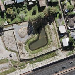1074 Great North Road, Point Chevalier, Auckland