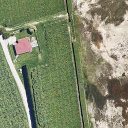 129 Lemon Road, PAENGAROA, Paengaroa