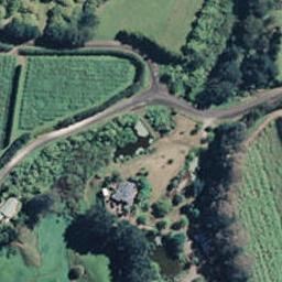 113 Lund Road, Aongatete, Katikati
