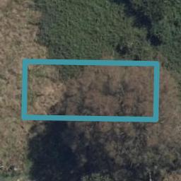 17 Jacks Landing Drive, Hamilton Lake, Hamilton