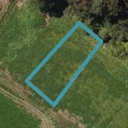 7 Sycamore Drive, Kamo, Whangarei
