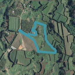 163 Walford Road, Aongatete, Katikati