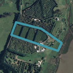 252E Kauri Point Road, Tahawai, Tahawai