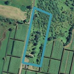 61 Strang Road, Te Puke, Te Puke