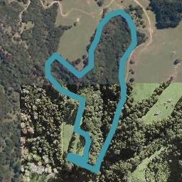 0 Birdsall Road, Whangateau, Whangateau