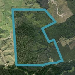 1345 Orakau Road, Matawaia, Kawakawa