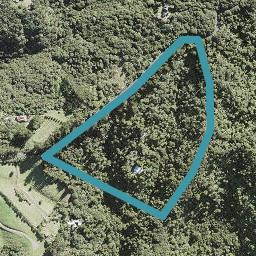 199 Lone Kauri Road, Karekare, Auckland