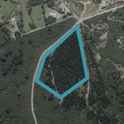 164 Green Road, Mount Cargill, Waitati