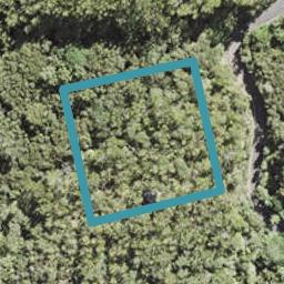 59 Lone Kauri Road, Karekare, Auckland