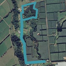 100 Beach Road Extension, Tirohanga, Ōpōtiki