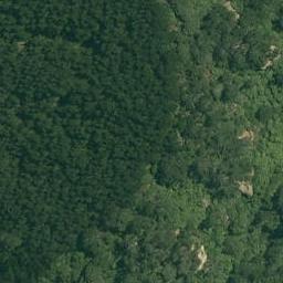 0 Rocky Cutting Road, Waitao, Tauranga