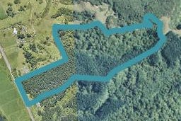 87A State Highway 2, Taneatua, Tāneatua