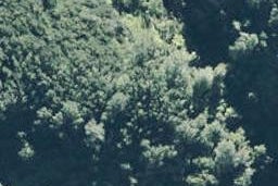 0 State Highway 35, Te Kaha, Te Kaha