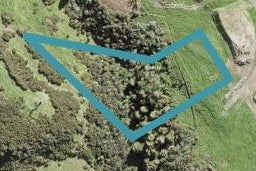 12 Ridgelea Road, Long Bay, Auckland