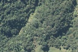 0 Rewatu Road, Poroporo, Whakatane