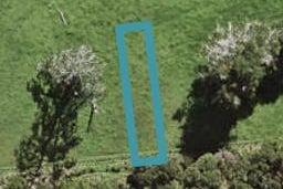 50 Te Aniwaniwa Terrace, Albany, Auckland