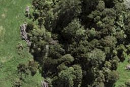 29 Seasons Way, Schnapper Rock, Auckland