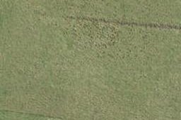 1 Tangitewai Street, Drury, Drury