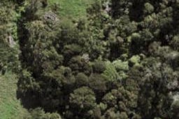 10 Seasons Way, Schnapper Rock, Auckland
