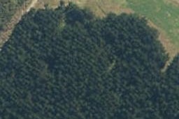 70A East Road, Ruatapu, Ruatapu