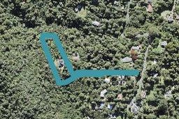 31A Bush Road, Waiatarua, Auckland