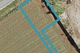 98 Belmont Road, Pukekohe, Pukekohe