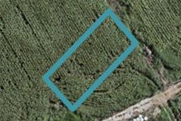 77 Mutetai Road, Clarks Beach, Clarks Beach