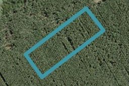 38 Uatoto Road, Clarks Beach, Clarks Beach