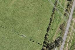 2A Puwha Street, Massey, Auckland