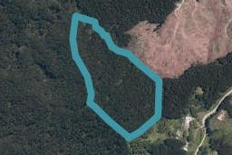 670A Bickerstaffe Road, Maungaturoto