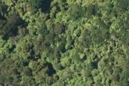 0 Essons Valley, Marlborough