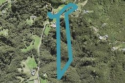 16 Welsh Hills Road, Swanson, Auckland
