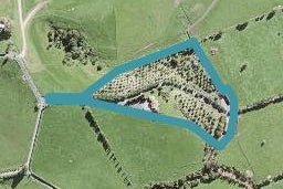 95 Sharp Road, Warkworth, Warkworth