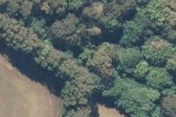 75 Ranapia Road, Poroporo, Whakatāne