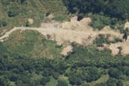 39 Stuart Street, Lake Kaniere, Kokatahi